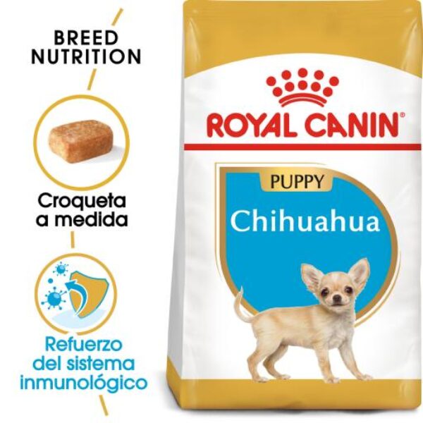 Royal Canin Chihuahua Puppy Pienso para Cachorro de Raza