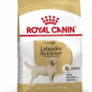 Royal Canin Labrador Retriever Adult Pienso para Perro Adulto de Raza