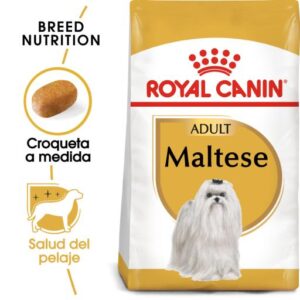 Royal Canin Maltese Adult Pienso para Bichón Maltés