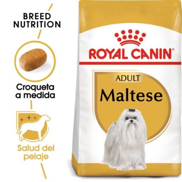 Royal Canin Maltese Adult Pienso para Bichón Maltés