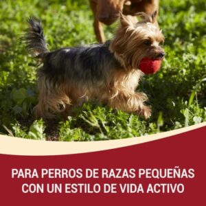 PURINA ONE Pienso Mini Perro Active Seco Pollo y Arroz 1.5kg