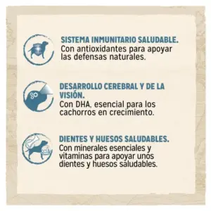 DOG CHOW Cachorro Razas Grandes de Pavo 14 KG