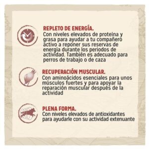 DOG CHOW Pienso Active para Perros Adultos de Pollo 14 KG