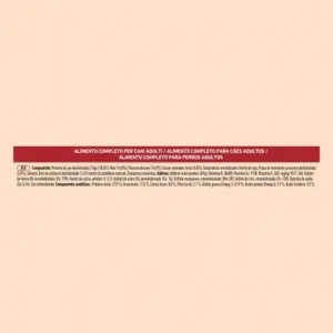 PURINA ONE Mini Skin & Coat 1