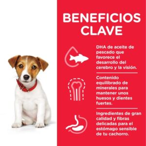 Pienso Science Plan Puppy Mini para Cachorros de Pequeño (5-10 Kg) 3kg