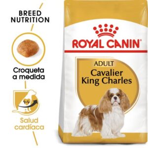 Cavalier King Charles Adult Pienso para Perro Adulto Spaniel 3 Kg