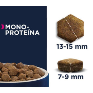 Eukanuba Adult Daily Care Monoproteico Salmón Fresco 12kg