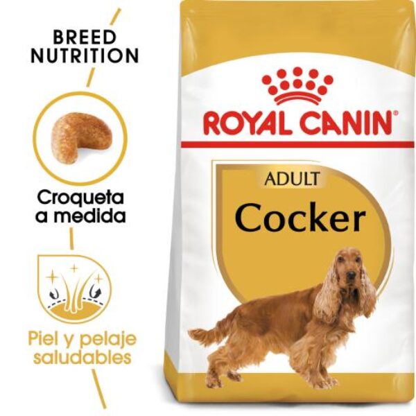 Royal Canin Pienso Adulto para Perro Adulto de Raza Cocker