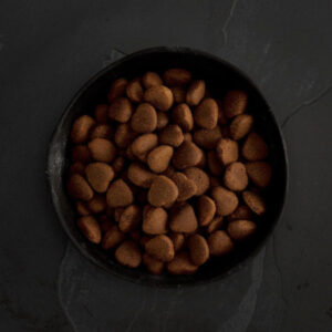 Canagan Pollo Campero para Perros de Razas Grandes 12kg