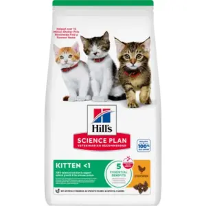 Hills Science Plan Kitten Pollo para Gatos 3kg
