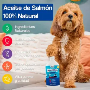 Aceite de salmon para perros 24 horas