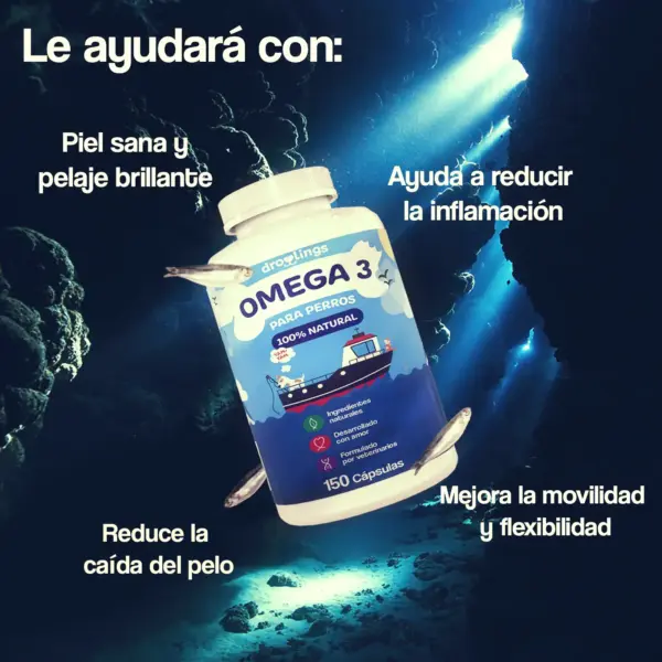 beneficios del omega 3 para perros y gatos
