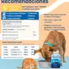 dosis diaria, ingredientes y recomendaciones generales para el oemga 3 para perros