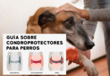 Condroprotectores para perros: Guía, comparación y cuál comprar 