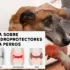 Artrosis en perros: qué es, causas, síntomas y tratamientos